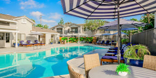 The Galleria Apartment Homes The Galleria Apartment Homes Photo Gallery 1