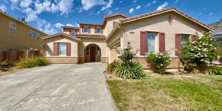 55 Redhead Street 55 Redhead Street Photo Gallery 1