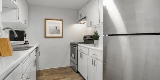View Ridge Apartments View Ridge Apartments Photo Gallery 1