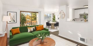 Sorrel Sorrel Photo Gallery 1