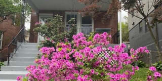 12 WALNUT ST NW 12 WALNUT ST NW Photo Gallery 1
