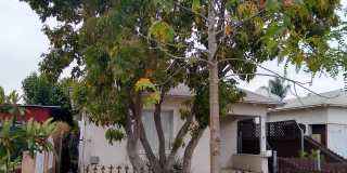 2480 L Street - 1 2480 L Street - 1 Photo Gallery 1