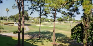 3755 Via Poinciana 3755 Via Poinciana Photo Gallery 1