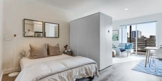 Common Maya Common Maya Photo Gallery 1