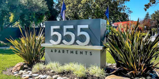 555 Apartments 555 Apartments Photo Gallery 1