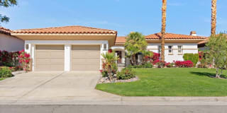 79460 Citrus 79460 Citrus Photo Gallery 1