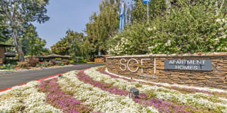 Sofi Fremont Sofi Fremont Photo Gallery 1
