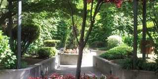 Alpine Park Alpine Park Photo Gallery 1