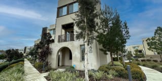197 Stellar 197 Stellar Photo Gallery 1