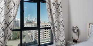 Hawk Hawk Photo Gallery 1