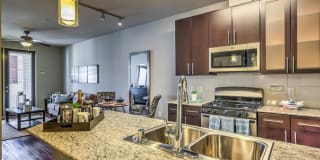 The Vineyards at Paseo del Sol The Vineyards at Paseo del Sol Photo Gallery 1