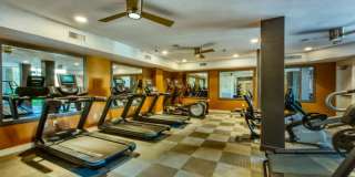 Elevation San Tan