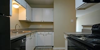 The Waters Apartment Homes The Waters Apartment Homes Photo Gallery 1