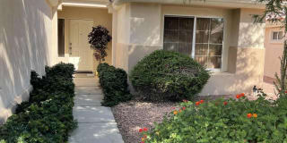 78272 Yucca Blossom Drive 78272 Yucca Blossom Drive Photo Gallery 1