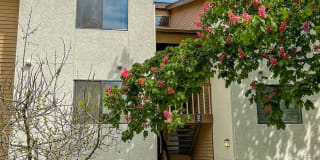 1002 S 312th St #133 1002 S 312th St #133 Photo Gallery 1
