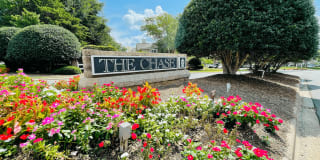 The Chase The Chase Photo Gallery 1