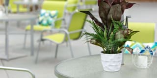 Bridgepoint Bridgepoint Photo Gallery 1