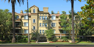 Westside Villas Westside Villas Photo Gallery 1
