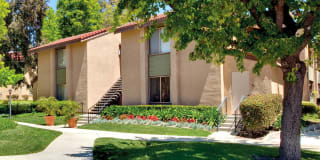 Indian Oaks Apartments Indian Oaks Apartments Photo Gallery 1