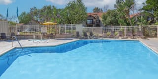 Mosaic Apartment Homes Mosaic Apartment Homes Photo Gallery 1