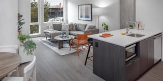 Sawbuck Sawbuck Photo Gallery 1