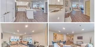 Vine Place Apartments Vine Place Apartments Photo Gallery 1