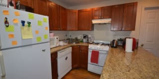 62 Egmont St 62 Egmont St Photo Gallery 1