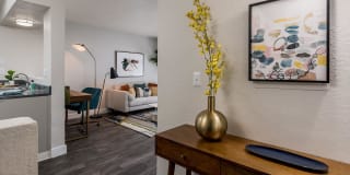 Elevate Apartments Elevate Apartments Photo Gallery 1