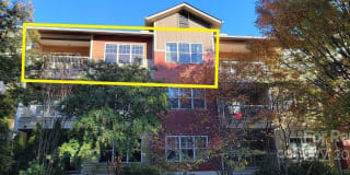 175 S Lexington Avenue 175 S Lexington Avenue Photo Gallery 1