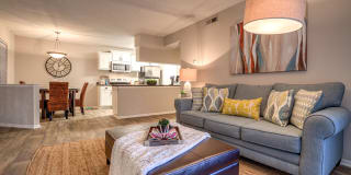 Palmetto Grove Palmetto Grove Photo Gallery 1