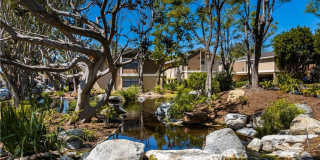 204 Pineview 204 Pineview Photo Gallery 1