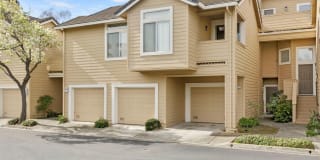 34573 Falls Terrace 34573 Falls Terrace Photo Gallery 1