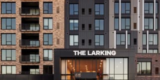 The Larking The Larking Photo Gallery 1