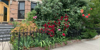 45-14 11th Street 45-14 11th Street Photo Gallery 1