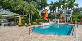 Bayside Arbors of Clearwater Bayside Arbors of Clearwater Photo Gallery 1