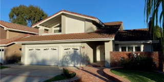 33712 Pequito Drive 33712 Pequito Drive Photo Gallery 1