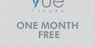 Vue Tampa Vue Tampa Photo Gallery 1