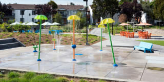 Park Kiely Park Kiely Photo Gallery 1
