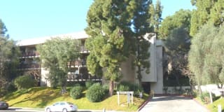 6304 Friars Road #239 6304 Friars Road #239 Photo Gallery 1