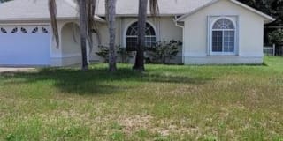 3027 Umbrella Tree Dr 3027 Umbrella Tree Dr Photo Gallery 1