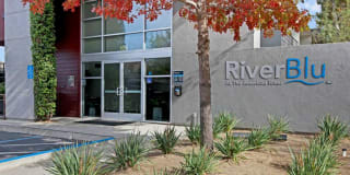 River Blu River Blu Photo Gallery 1