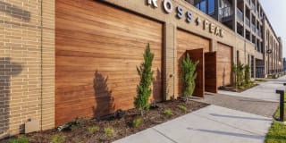 Ross + Peak Ross + Peak Photo Gallery 1