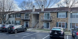 45 CYPRESS 45 CYPRESS Photo Gallery 1