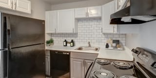 Tiburon Tiburon Photo Gallery 1