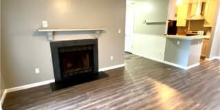 537 Pineland Circle 537 Pineland Circle Photo Gallery 1