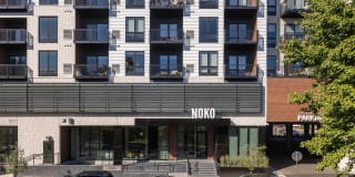 Noko Noko Photo Gallery 1