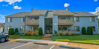 808 THE WOODS 808 THE WOODS Photo Gallery 1