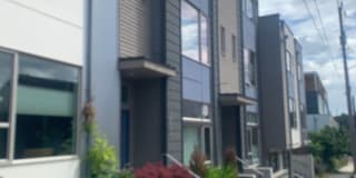 1909 25th Ave S #B 1909 25th Ave S #B Photo Gallery 1