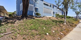 Calavo Woods Apartments Calavo Woods Apartments Photo Gallery 1