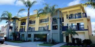 259 Donax Avenue 259 Donax Avenue Photo Gallery 1